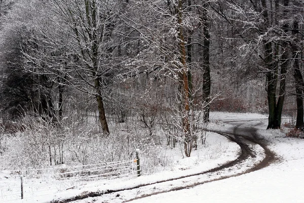 丹麦冬天 — 图库照片