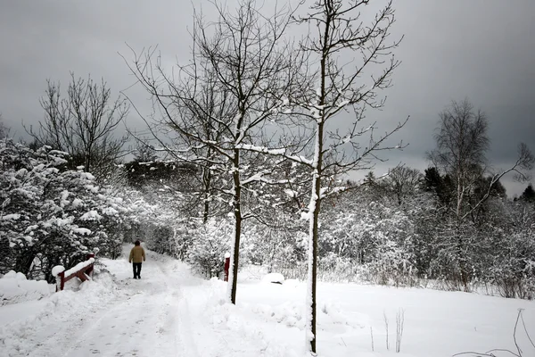 Iarna daneză — Fotografie, imagine de stoc