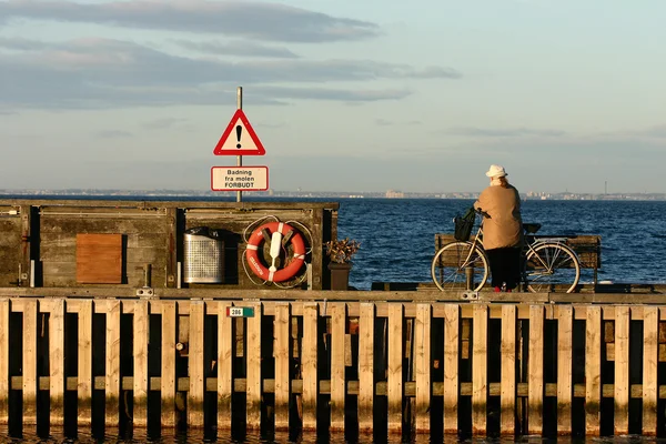 Costa danesa — Foto de Stock