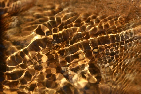Altın su — Stok fotoğraf