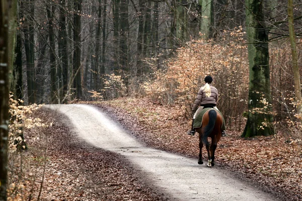 Paardrijden paarden — Stockfoto