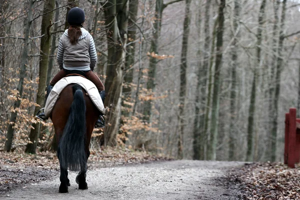 Cavalli a cavallo — Foto Stock