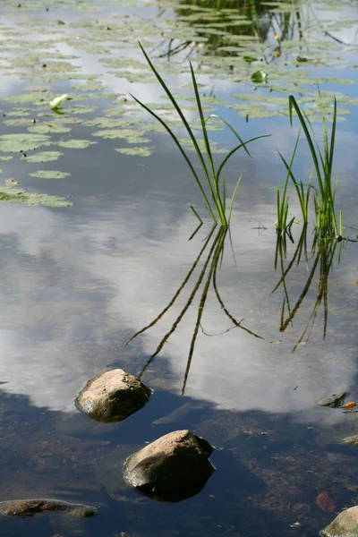 Озерные камни — стоковое фото