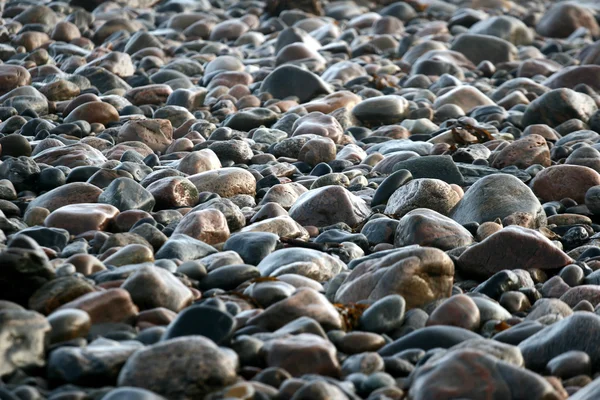 Okyanus taşları — Stok fotoğraf