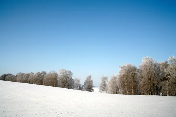 Χειμώνας στη Δανία — Φωτογραφία Αρχείου