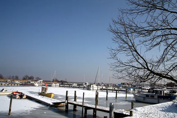 在丹麦的冬天 — 图库照片