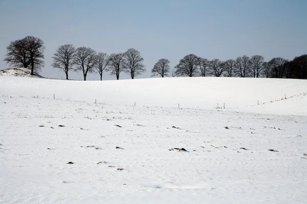 Besneeuwde winter — Stockfoto
