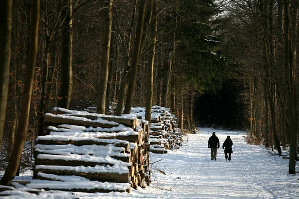 在丹麦的冬天 — 图库照片