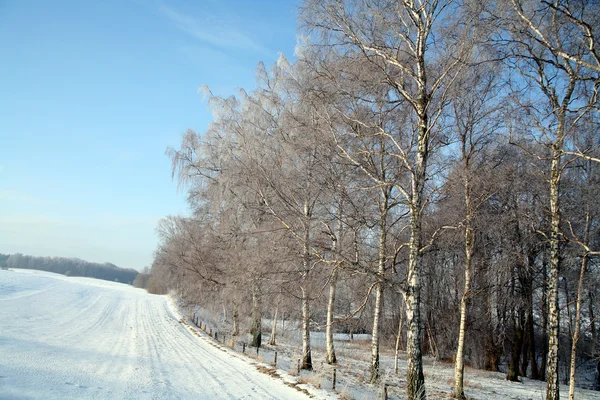 Zima v Dánsku — Stock fotografie