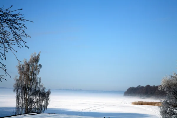 Winter in Denemarken — Stockfoto