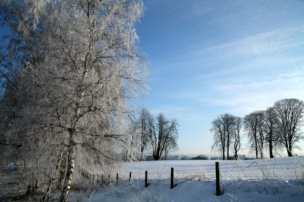 デンマークの冬 — ストック写真
