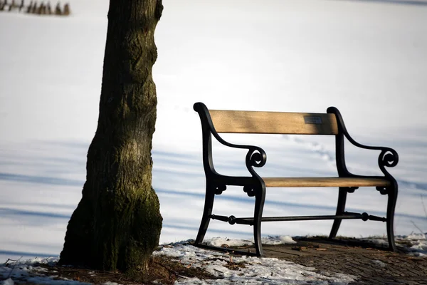 Zimní bench冬のベンチ — ストック写真