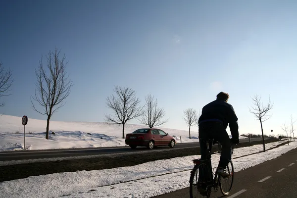 stock image Winter in denmark