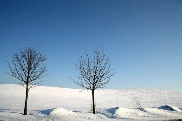 Снежная зима — стоковое фото