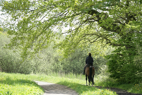 Riding horses