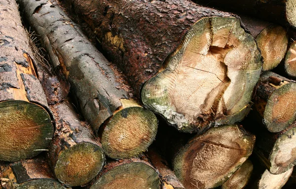 木料 — 图库照片