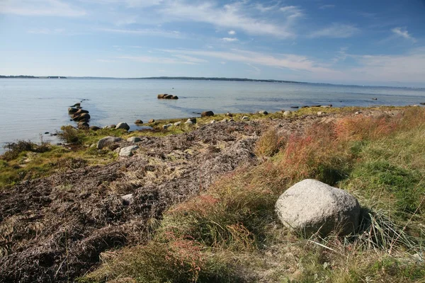 デンマーク landscape01 — ストック写真