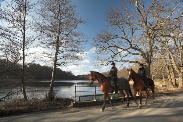 Riding horses