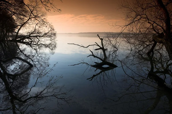 Floresta do lago — Fotografia de Stock