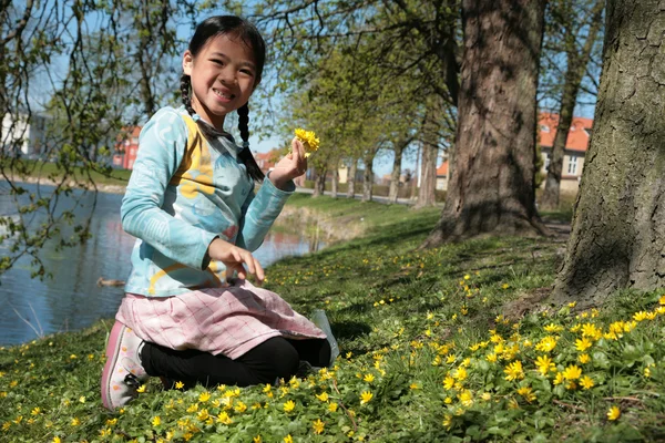 Child in flower — Stock Photo, Image