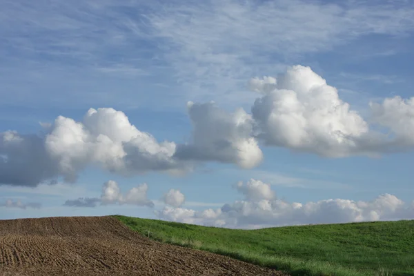 Небо над зеленим полем — стокове фото