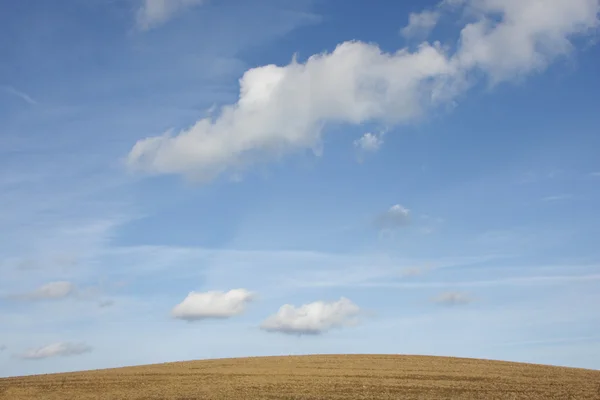 Небо и поле — стоковое фото