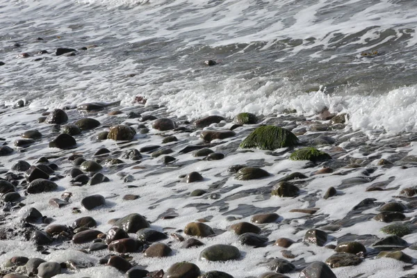 海洋石头 — 图库照片
