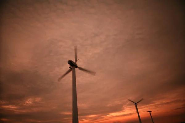 Strom-Windmühlen — Stockfoto