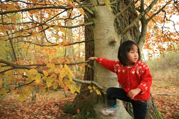 Barn utomhus i skogen — Stockfoto