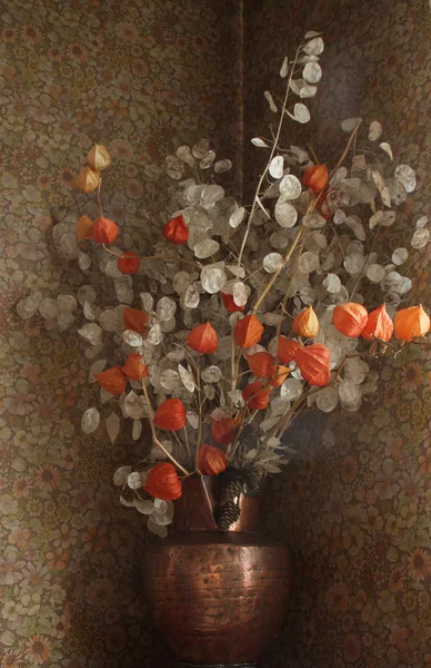 Torkade blommor i en vas — Stockfoto