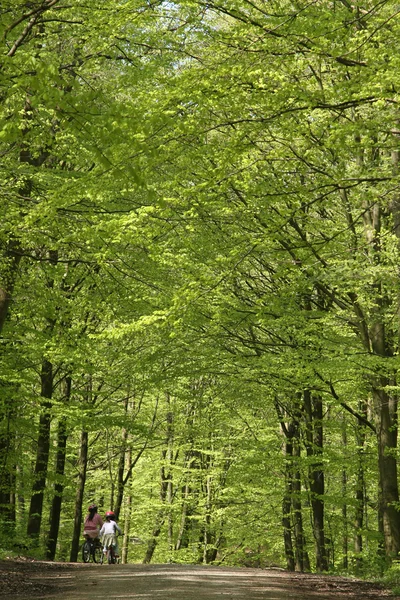 Zielony las rowerzystów — Zdjęcie stockowe