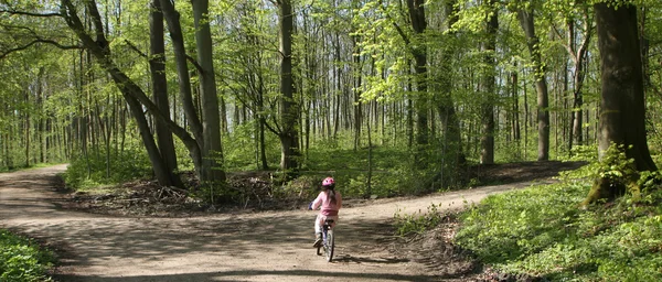 Green forest bikers — Stock Photo, Image