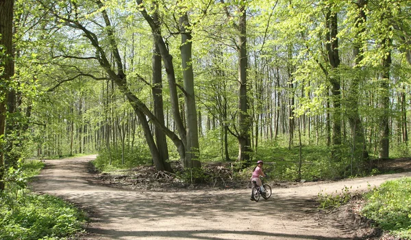 Motociclisti foresta verde — Foto Stock