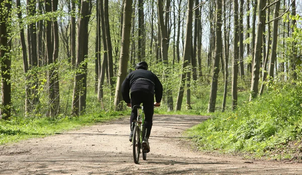 Πράσινο δάσος ποδηλάτης — Φωτογραφία Αρχείου