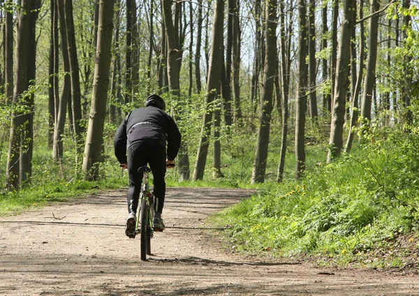 Зеленый велосипедист — стоковое фото