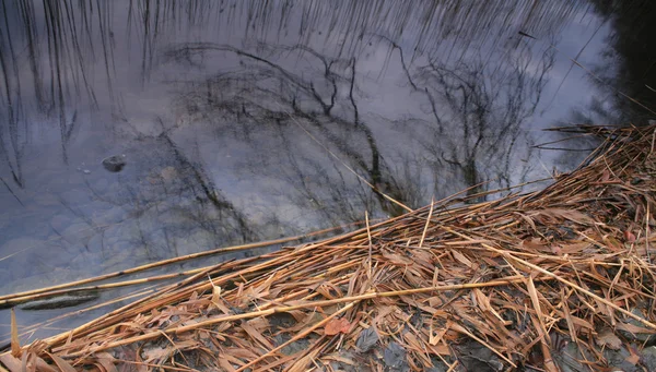 Озеро в сумерках — стоковое фото