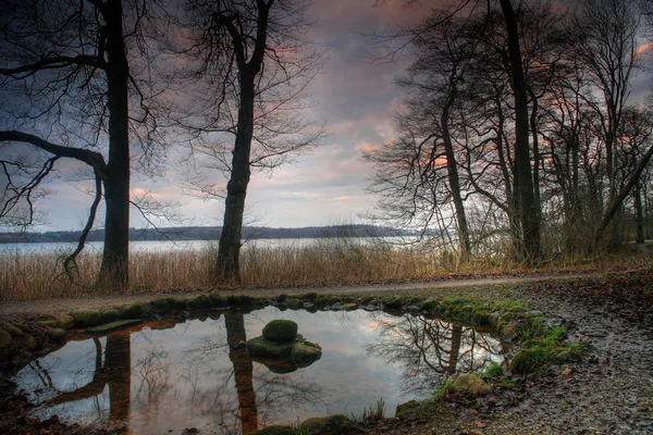 树木和湖泊 — 图库照片