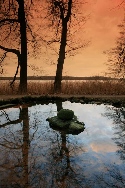 Деревья и озеро — стоковое фото