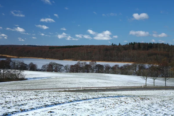 Snowy field — Stock Photo, Image