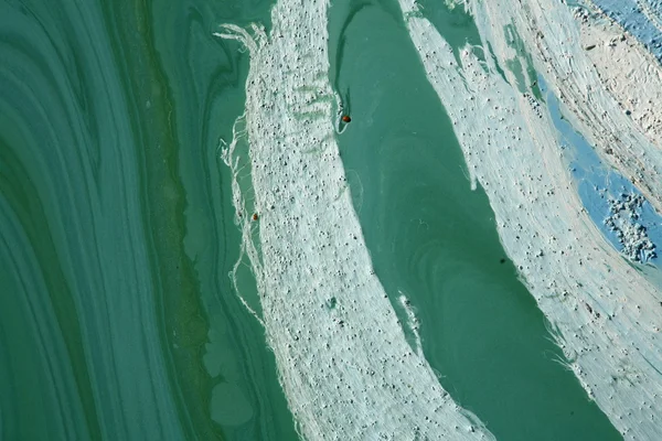 Algas de color verde azulado — Foto de Stock