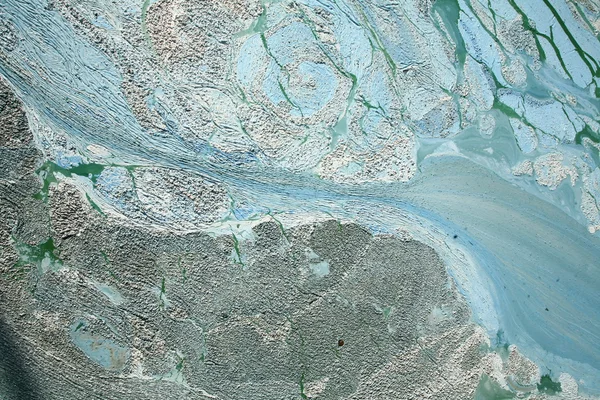 파란색 녹색 조류 — 스톡 사진
