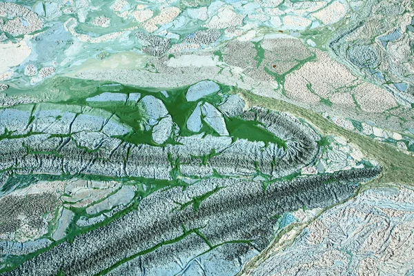 Mavi - yeşil algler — Stok fotoğraf