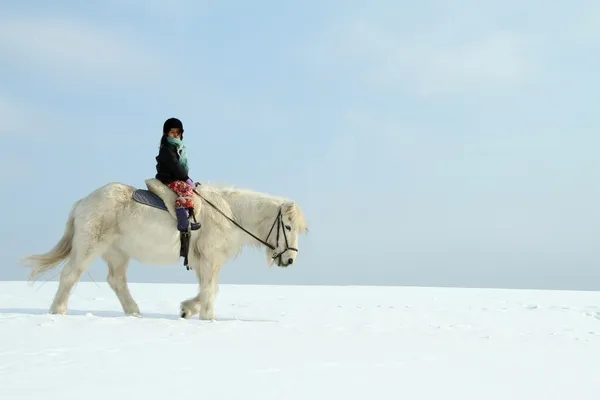 乗馬の馬 — ストック写真