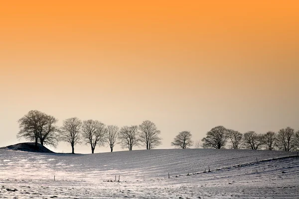 Солнечная зима — стоковое фото