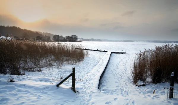 Güneşli kış — Stok fotoğraf