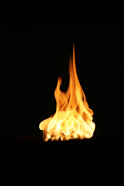 炎 — ストック写真