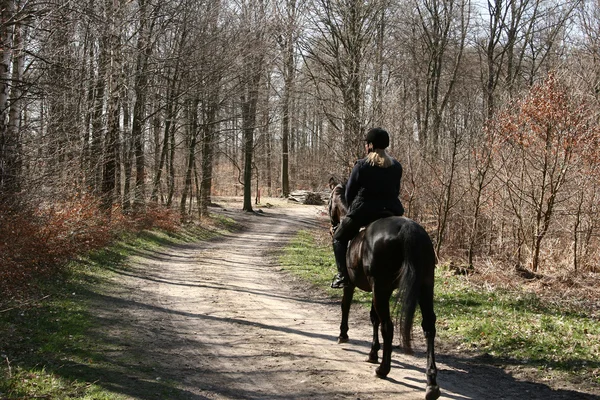 Paardrijden paarden — Stockfoto