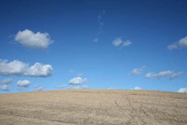 여름 하늘 아래 사막 — 스톡 사진
