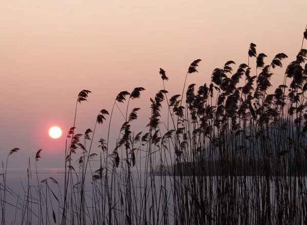 湖の夕日 — ストック写真