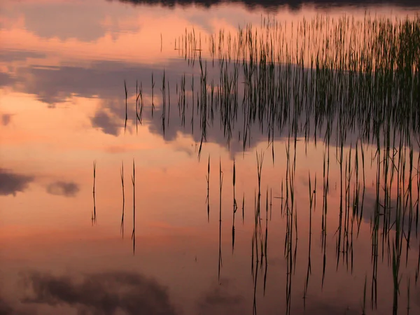Sjön sunset — Stockfoto